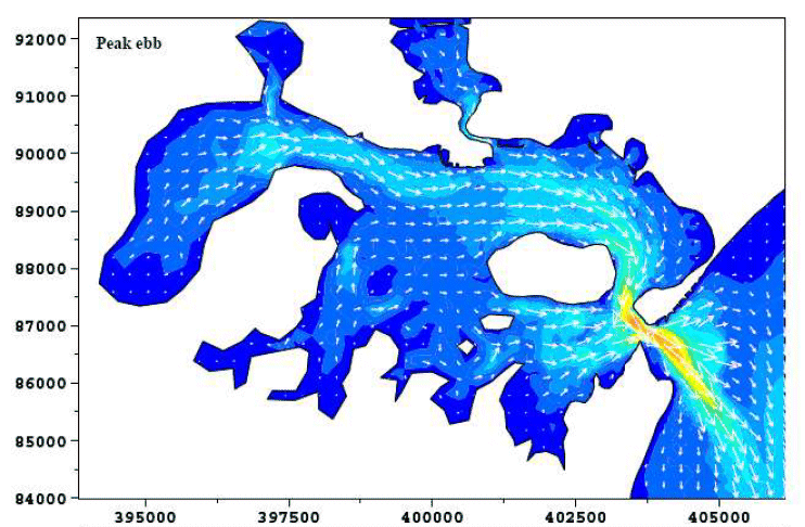 CEFAS Tidal Flow Map of Poole Harbour at Peak Ebb