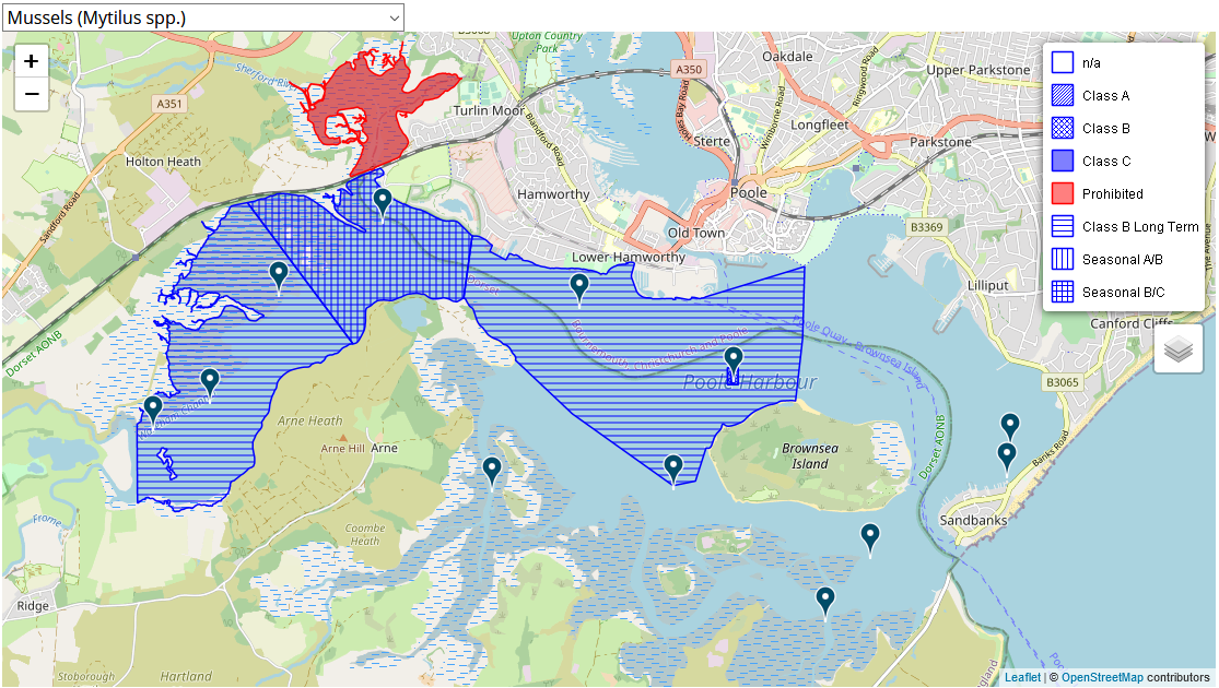 CEFAS Classification of the Mussel beds in Poole Harbour, 2021
