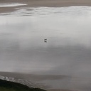 I tried for something in this shot. Just not sure what that was.<br /><br />Anyway - Saunton Sands at low tide today