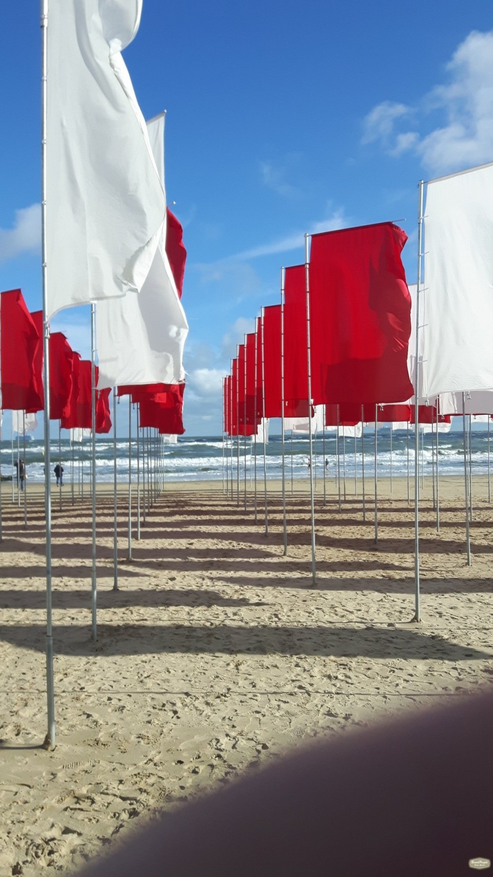 From the Club's internal blog on the 3rd of October .."..Sandbanks yesterday had an impressive art installation on it as part of the 2020 Arts By The Sea. It's bedsheets primarily which weren't faring well against recent high winds but it's definitely worth checking out"