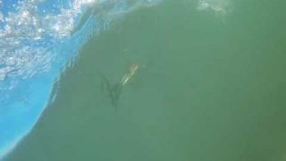 Fin swimming with a GoPro - Sandbanks 2020